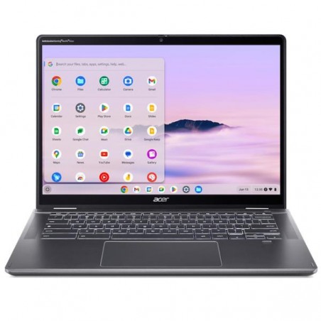 ACER NOTEBOOK PROFESSIONAL CPE594-1N-TCO-343F NX.J29ET.004
