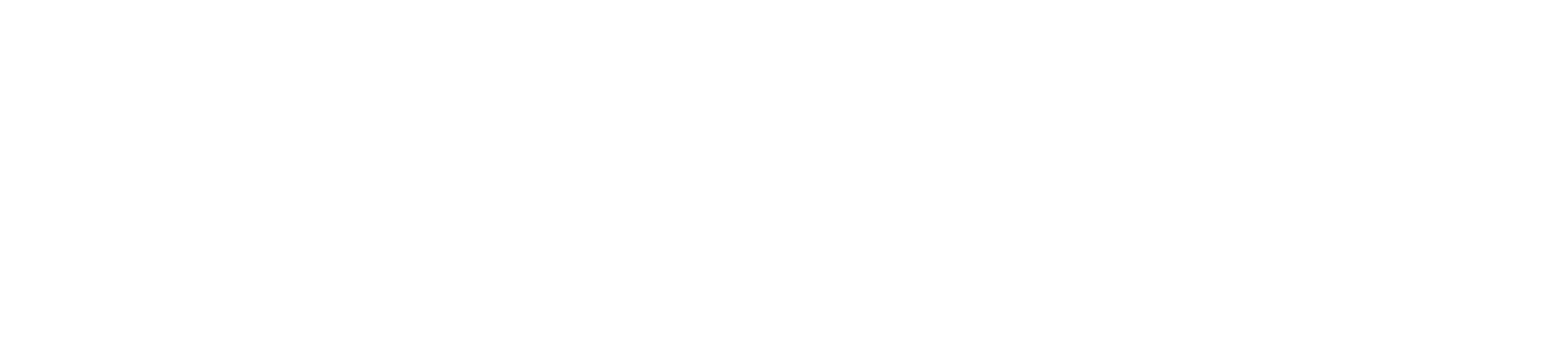 Non Solo Notebook logo